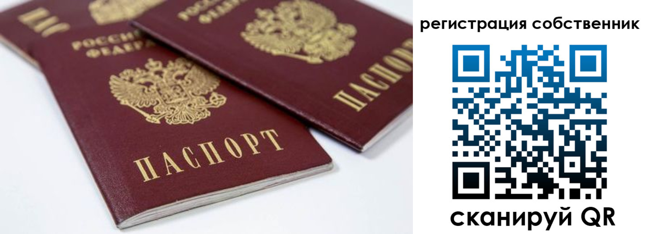 прописка для школы в Йошкар-Оле